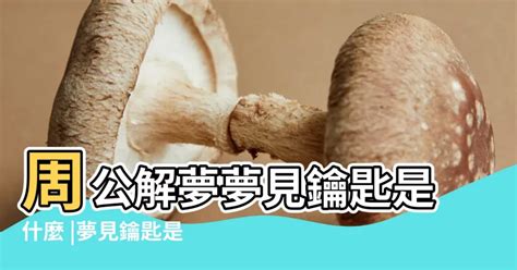 夢見項鍊|周公解夢夢見項鍊表示什麼